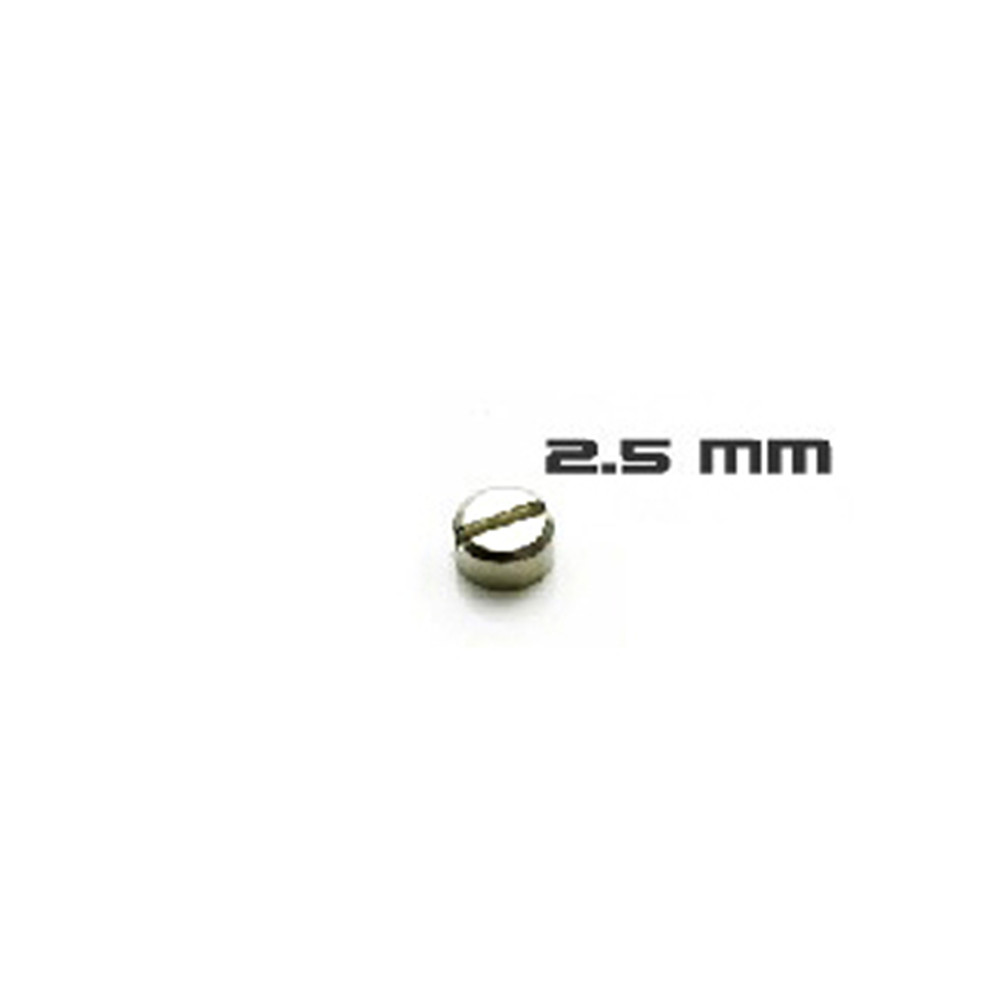30pcs Armored Screws Model Sup - Model Kit Hg reseña y precio